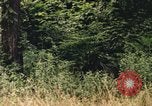 Image of individual camouflage United States USA, 1967, second 27 stock footage video 65675065976