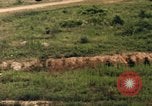 Image of individual camouflage United States USA, 1967, second 54 stock footage video 65675065976
