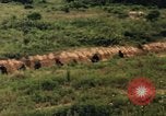 Image of individual camouflage United States USA, 1967, second 57 stock footage video 65675065976
