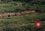 Image of individual camouflage United States USA, 1967, second 58 stock footage video 65675065976
