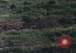 Image of individual camouflage United States USA, 1967, second 60 stock footage video 65675065976