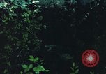 Image of individual camouflage United States USA, 1967, second 1 stock footage video 65675065977