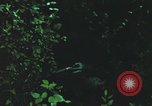 Image of individual camouflage United States USA, 1967, second 3 stock footage video 65675065977