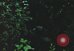 Image of individual camouflage United States USA, 1967, second 4 stock footage video 65675065977