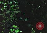 Image of individual camouflage United States USA, 1967, second 11 stock footage video 65675065977