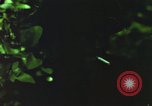 Image of individual camouflage United States USA, 1967, second 17 stock footage video 65675065977