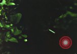 Image of individual camouflage United States USA, 1967, second 18 stock footage video 65675065977