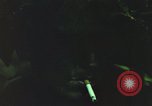 Image of individual camouflage United States USA, 1967, second 25 stock footage video 65675065977