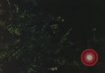 Image of individual camouflage United States USA, 1967, second 32 stock footage video 65675065977