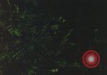 Image of individual camouflage United States USA, 1967, second 33 stock footage video 65675065977