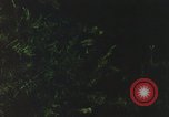 Image of individual camouflage United States USA, 1967, second 34 stock footage video 65675065977