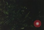 Image of individual camouflage United States USA, 1967, second 35 stock footage video 65675065977