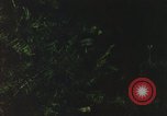 Image of individual camouflage United States USA, 1967, second 37 stock footage video 65675065977
