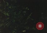Image of individual camouflage United States USA, 1967, second 38 stock footage video 65675065977