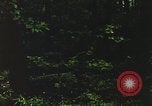 Image of individual camouflage United States USA, 1967, second 39 stock footage video 65675065977