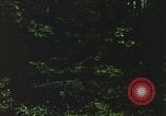 Image of individual camouflage United States USA, 1967, second 41 stock footage video 65675065977