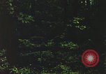 Image of individual camouflage United States USA, 1967, second 42 stock footage video 65675065977