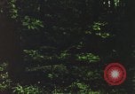 Image of individual camouflage United States USA, 1967, second 44 stock footage video 65675065977