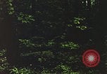 Image of individual camouflage United States USA, 1967, second 45 stock footage video 65675065977