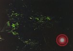 Image of individual camouflage United States USA, 1967, second 47 stock footage video 65675065977