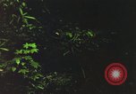 Image of individual camouflage United States USA, 1967, second 48 stock footage video 65675065977