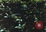 Image of individual camouflage United States USA, 1967, second 1 stock footage video 65675065978
