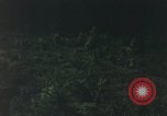 Image of individual camouflage United States USA, 1967, second 24 stock footage video 65675065978