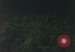 Image of individual camouflage United States USA, 1967, second 25 stock footage video 65675065978