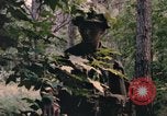 Image of individual camouflage United States USA, 1967, second 45 stock footage video 65675065978