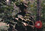 Image of individual camouflage United States USA, 1967, second 46 stock footage video 65675065978