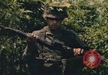 Image of individual camouflage United States USA, 1967, second 61 stock footage video 65675065978