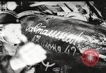 Standbild sowjetische U-Boot Atlantik, 1942, aus Sekunde 56 historischem Filmmaterial Videoclip 65675065982