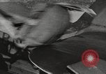 Image of Soviet Hawker Hurricane Lend Lease aircraft Eastern Front, 1942, second 39 stock footage video 65675065983