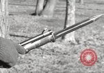 Image of German Karabiner 98K rifle United States USA, 1944, second 38 stock footage video 65675065984