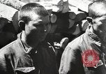 Image of German troops interrogate Soviet prisoners Soviet Union, 1941, second 8 stock footage video 65675065988