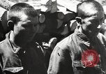 Image of German troops interrogate Soviet prisoners Soviet Union, 1941, second 9 stock footage video 65675065988