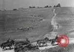 Image of German troops interrogate Soviet prisoners Soviet Union, 1941, second 26 stock footage video 65675065988