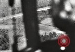 Image of German troops interrogate Soviet prisoners Soviet Union, 1941, second 58 stock footage video 65675065988