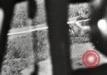 Image of German troops interrogate Soviet prisoners Soviet Union, 1941, second 61 stock footage video 65675065988