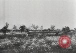 Image Opération Barbarossa allemande de l'Union soviétique l'invasion 'Union soviétique, 1941, de la seconde 11 séquences d'archives historiques vidéo 65675065990