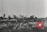 Image Opération Barbarossa allemande de l'Union soviétique l'invasion 'Union soviétique, 1941, de la seconde 12 séquences d'archives historiques vidéo 65675065990