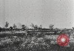 Image Opération Barbarossa allemande de l'Union soviétique l'invasion 'Union soviétique, 1941, de la seconde 13 séquences d'archives historiques vidéo 65675065990