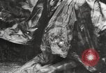 Image Opération Barbarossa allemande de l'Union soviétique l'invasion 'Union soviétique, 1941, de la seconde 52 séquences d'archives historiques vidéo 65675065990