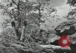 Image of Soviet forces engage Germans on Eastern front in World War II Russia, 1941, second 20 stock footage video 65675066001