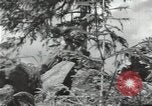 Image of Soviet forces engage Germans on Eastern front in World War II Russia, 1941, second 22 stock footage video 65675066001