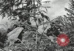 Image of Soviet forces engage Germans on Eastern front in World War II Russia, 1941, second 23 stock footage video 65675066001