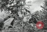 Image of Soviet forces engage Germans on Eastern front in World War II Russia, 1941, second 24 stock footage video 65675066001
