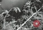 Image of Soviet forces engage Germans on Eastern front in World War II Russia, 1941, second 26 stock footage video 65675066001