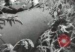 Image of Soviet forces engage Germans on Eastern front in World War II Russia, 1941, second 27 stock footage video 65675066001