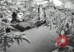 Image of Soviet forces engage Germans on Eastern front in World War II Russia, 1941, second 28 stock footage video 65675066001